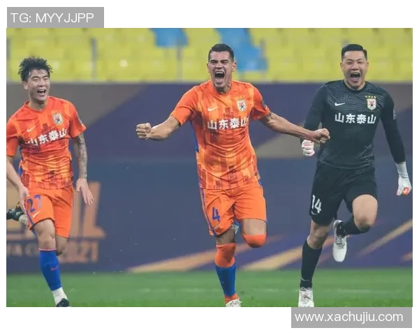 武汉排球队的包夹战术解析与应用探讨